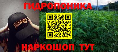 мдма Моздок
