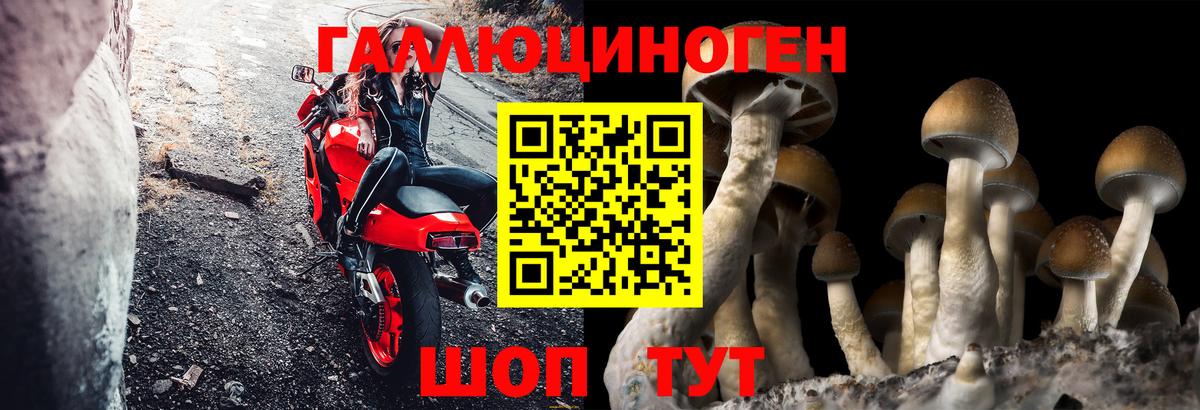 Топки  Псилоцибиновые грибы MAGIC MUSHROOMS  Вход с VPN 